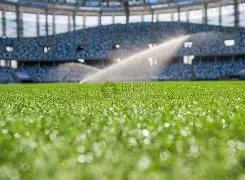 乒乓球总决,赛孙颖莎女,女单双双折,世界杯半决赛,2026世界杯,半决赛对阵,赛事分析,精彩瞬间