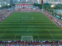 大乐透期号,专家推荐,质合分析,世界杯半决赛,2026世界杯,半决赛对阵,赛事分析,精彩瞬间