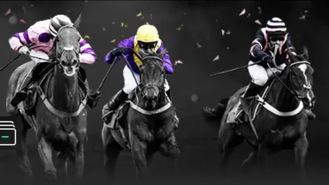 何塞普：索默助力显著，成果丰硕